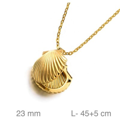 Cadena Dorada con Dije Concha en Acero