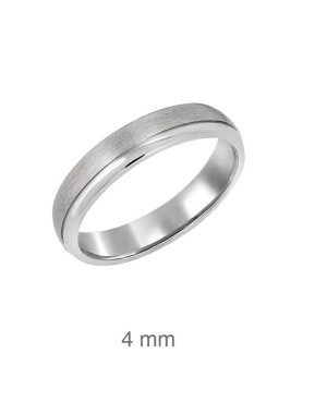 Alianza Mate y Brillo Plata Ley