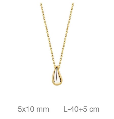 Collar con Gota en Plata Ley Bañada en Oro