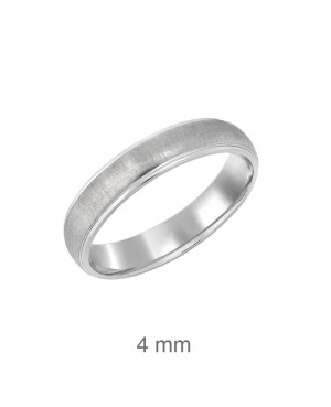 Alianza Mate y Brillo Plata Ley