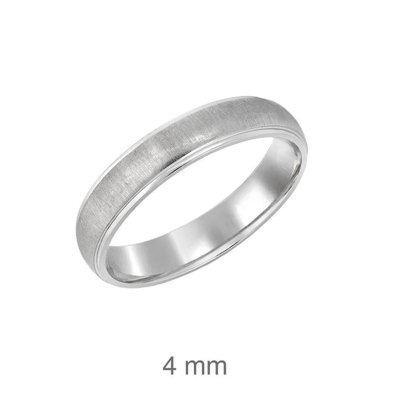 Alianza Mate y Brillo Plata Ley