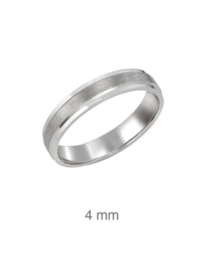 Alianza Mate y Brillo Plata Ley