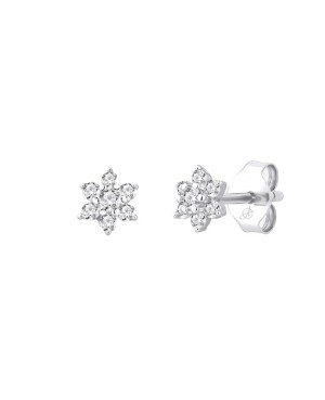 Pendientes Flor con Circonitas 5A talla Brillante de Plata Ley