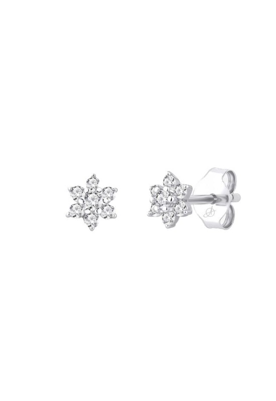 Pendientes Flor con Circonitas 5A talla Brillante de Plata Ley
